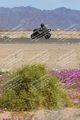 media/Mar-12-2023-SoCal Trackdays (Sun) [[d4c8249724]]/Turn 15 Inside Bloom (130pm)/